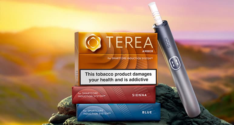 ไส้ IQOS Terea กลิ่นไหนดีที่สุด รีวิว 2026 เลือกกลิ่นยอดนิยมที่ใช่
